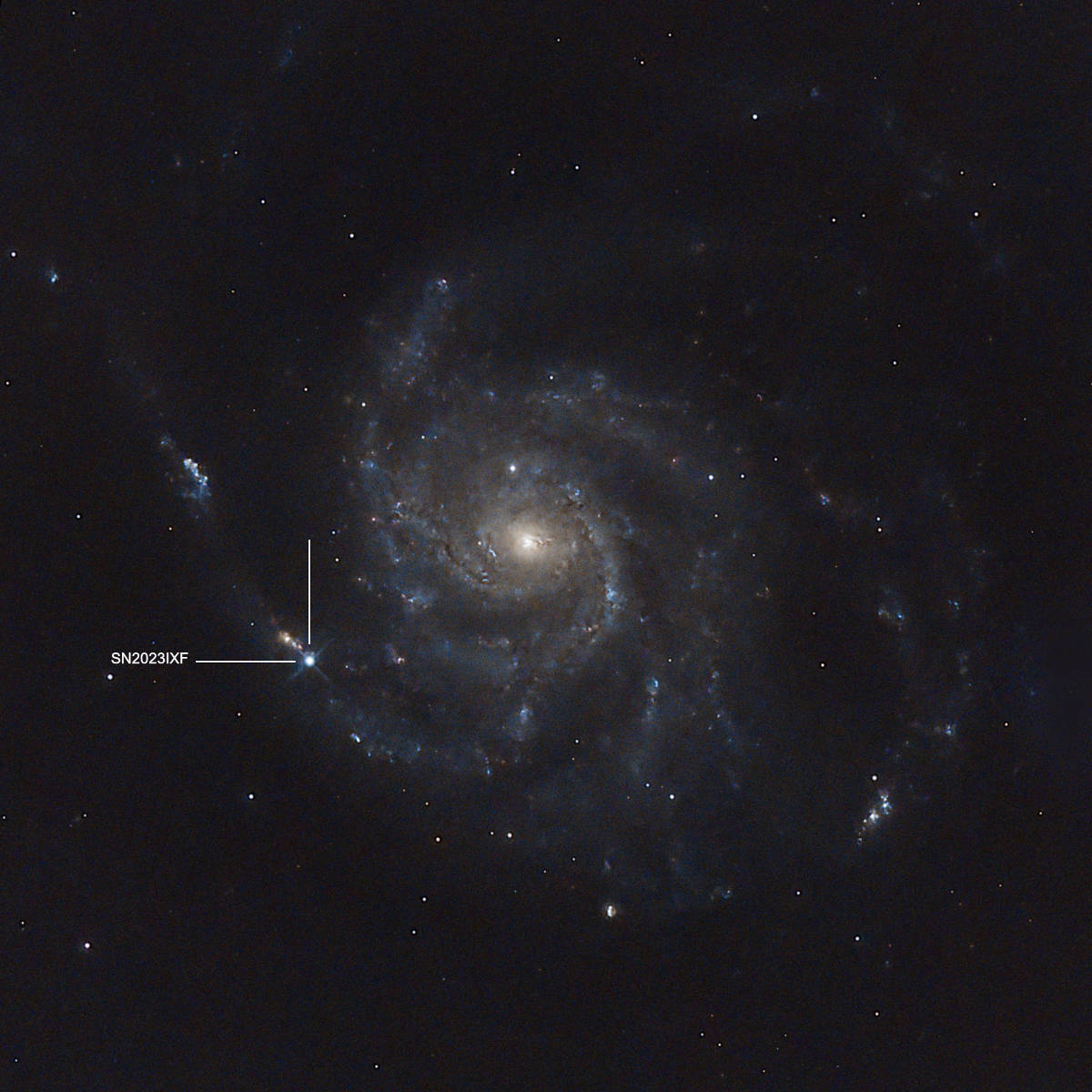 M101 Supernova SN2023IXF