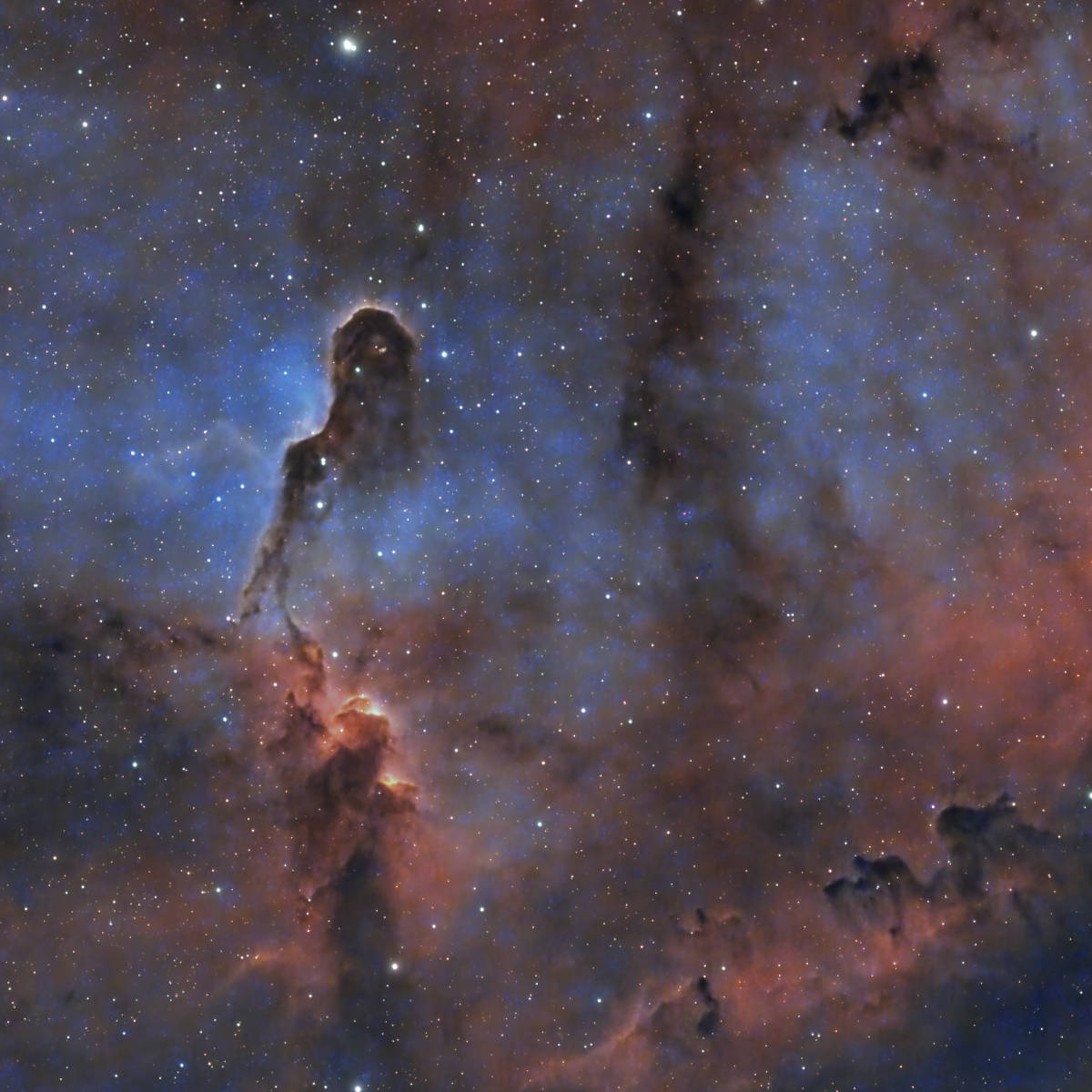 IC1396-4hrs
